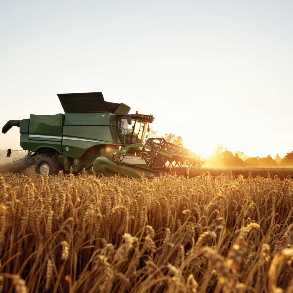 agriculture-innovation-how-technology-is-affecting-the-feed-and-grain